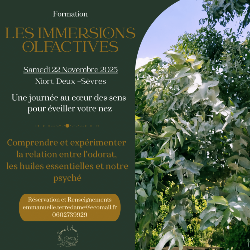 Les Immersions Olfactives Les Immersions Olfactives